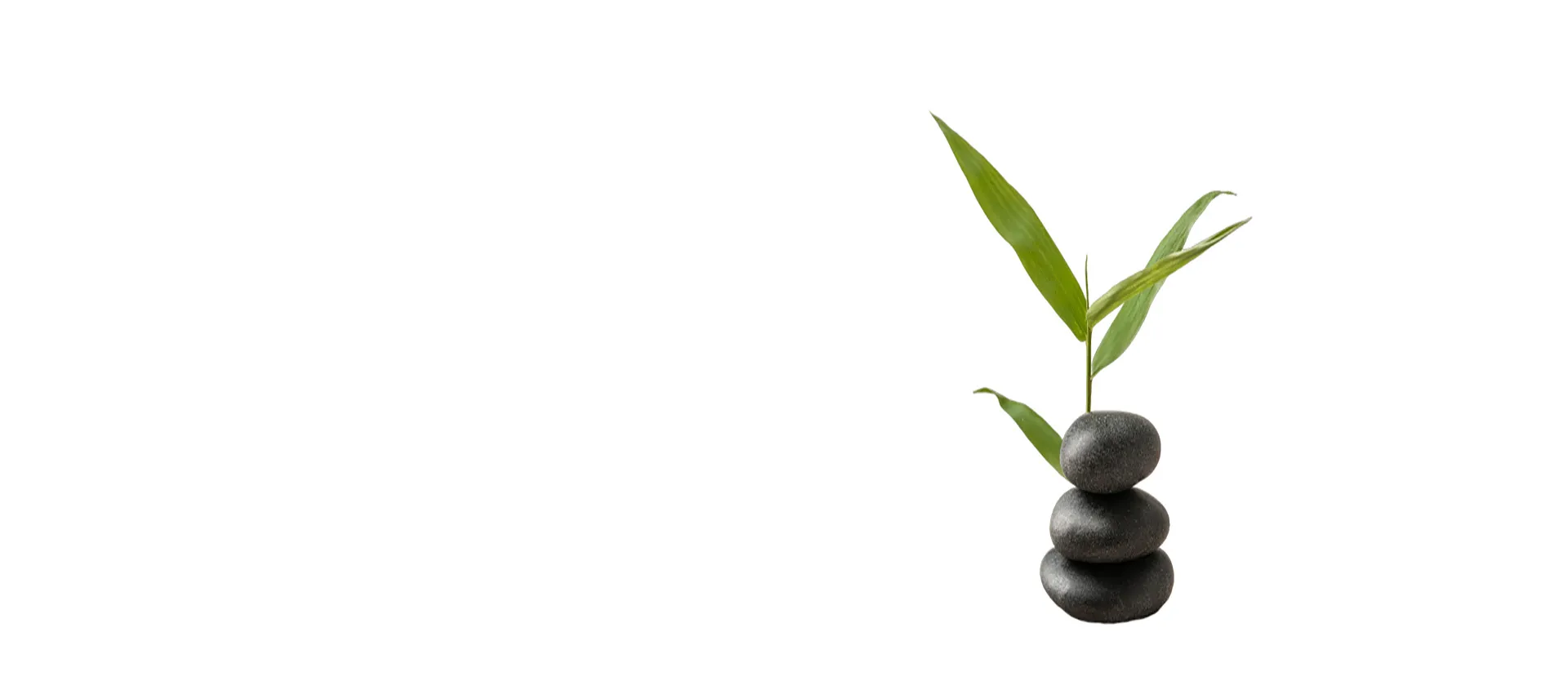 image du slider